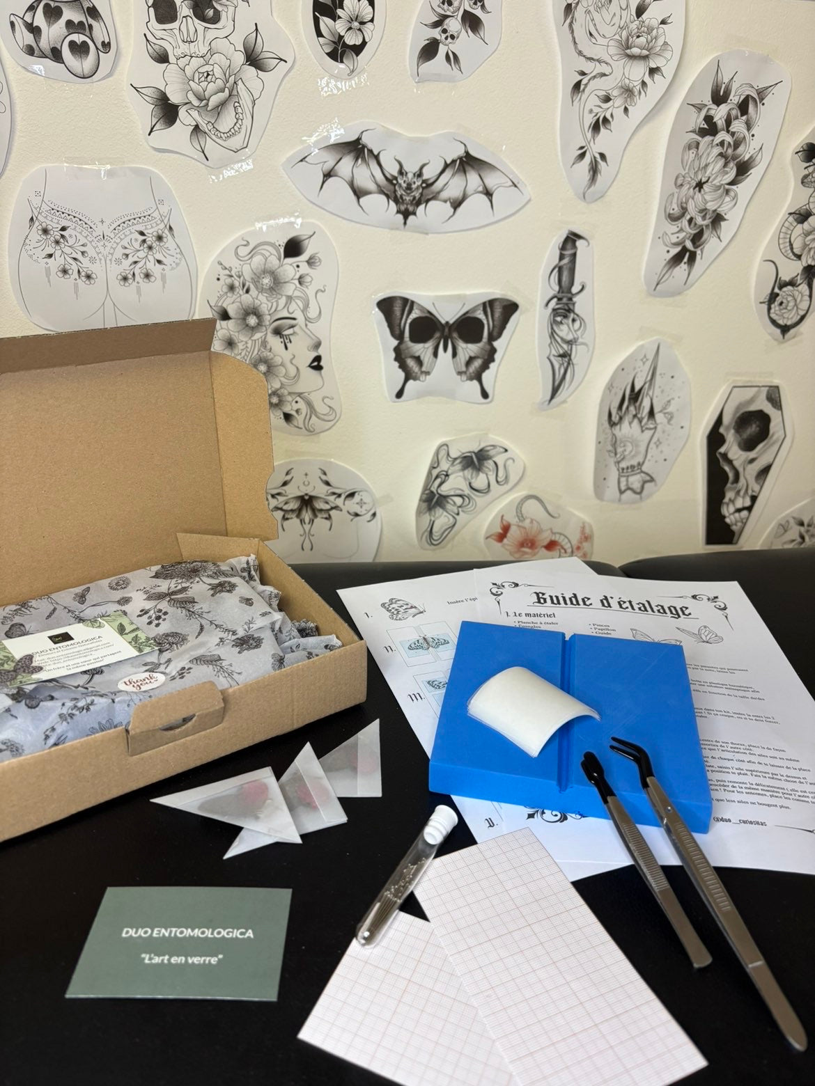 Kit entomologies
